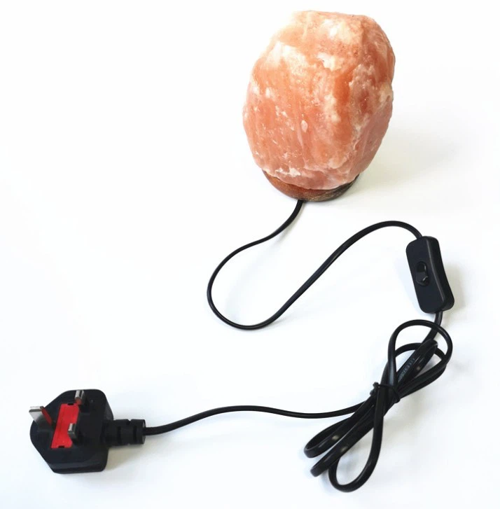 UK Salt Lamp Cord With Switch
